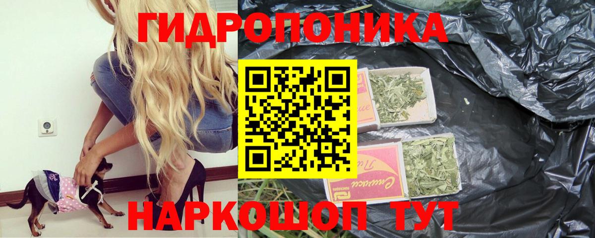 Канабис SATIVA & INDICA  Вход с VPN  Междуреченск  Бошки Шишки индика  Бошки Шишки VHQ 